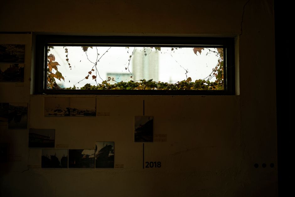 DSC07756