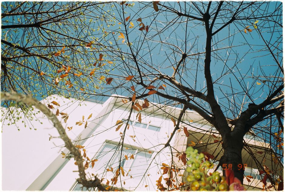 DSC07241
